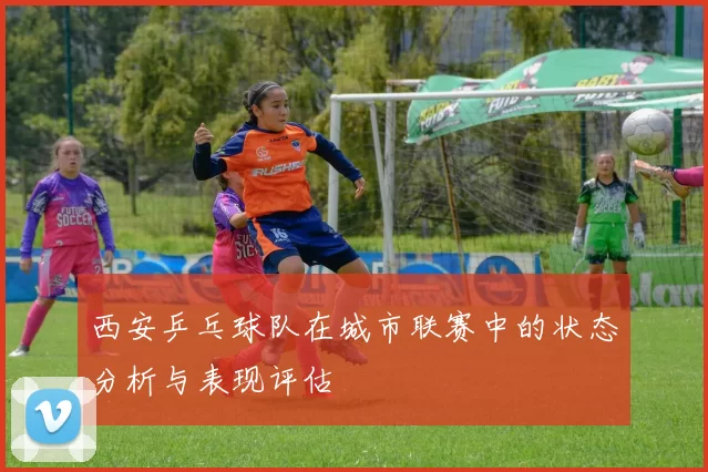 西安乒乓球队在城市联赛中的状态分析与表现评估